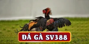 da-ga-sv388-avt
