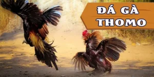 da-ga-thomo-avt